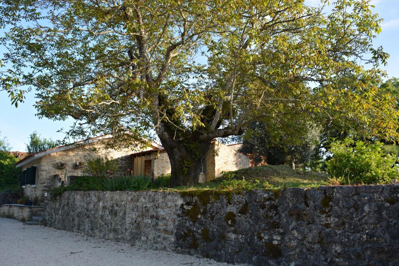 Casa Da Pedra Villa Ancião Exterior foto